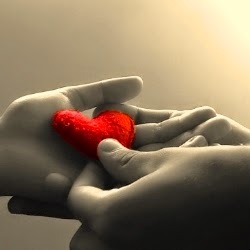 Sentimenti